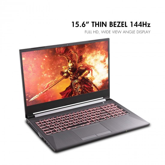 Sager NP7858DW 15.6-Inch Thin Bezel FHD 144Hz Gaming Laptop, Intel i7-10875H, RTX 2060 6GB, 16GB RAM, 1TB NVMe SSD, Windows 10