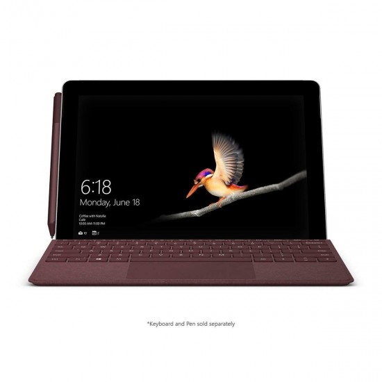 Microsoft Surface Go (Intel Pentium Gold, 4GB RAM, 64GB)