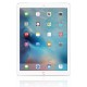 Apple iPad Pro Tablet(256GB, LTE, 9.7in) Silver